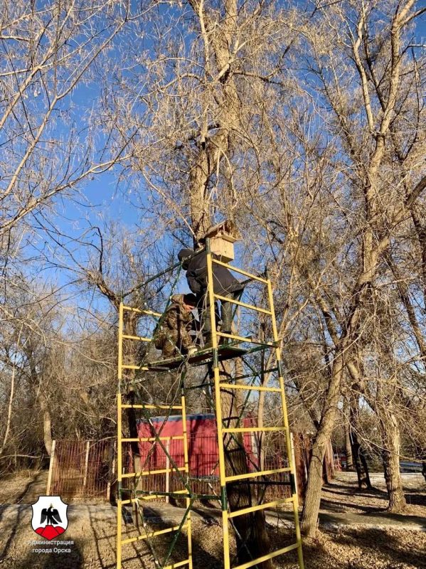 Пушистых жителей парка Строителей окружили теплом и заботой