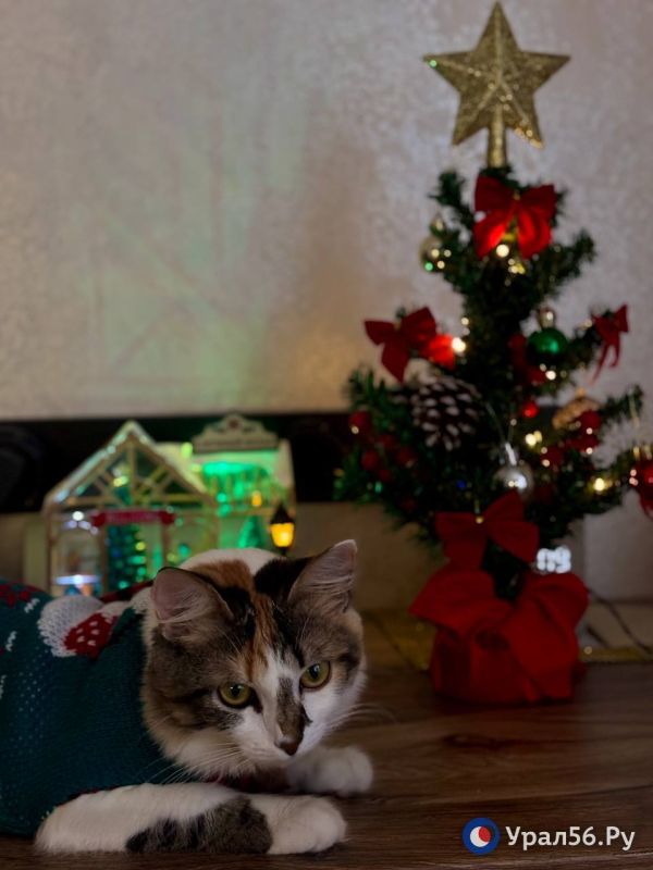 ����������, � ��� ��� ���� ���������� ����������? ��������� ������?