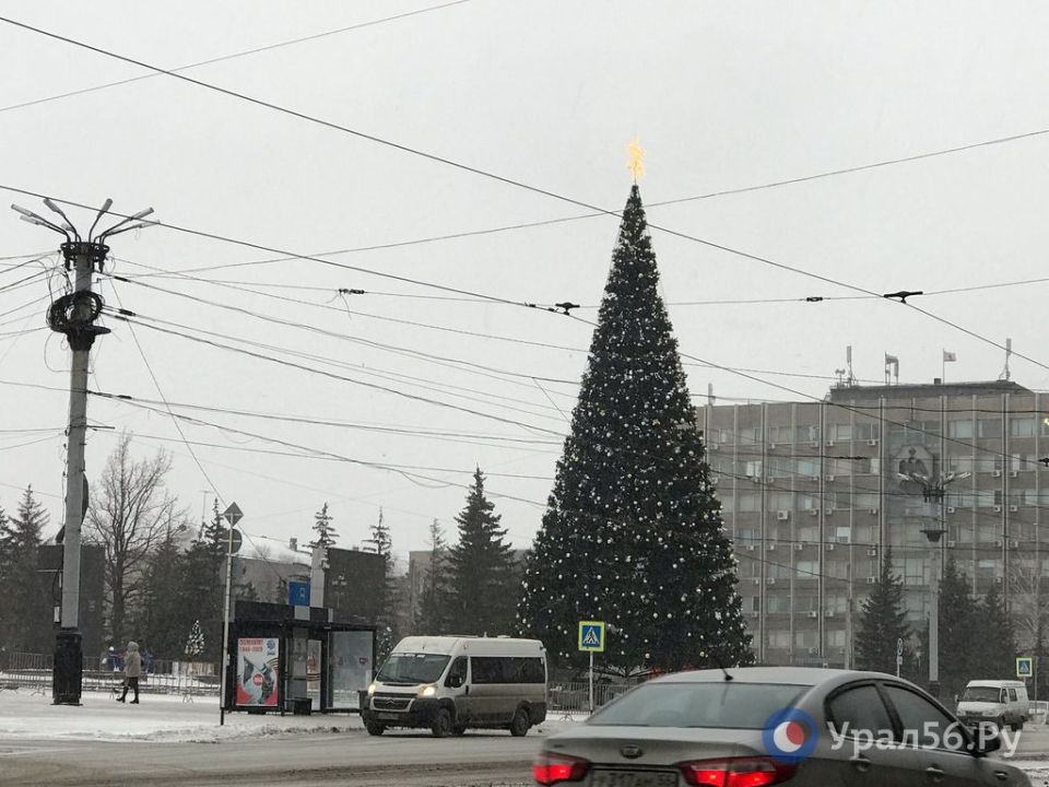 В Орске собрали главную городскую елку на площади Комсомольской