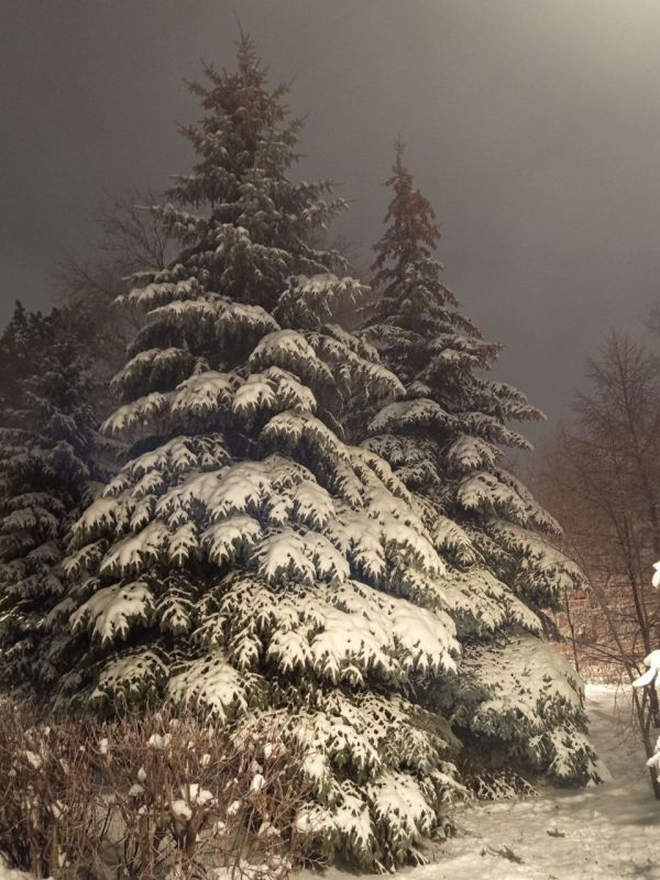 Доброе утро! Прогноз погоды на 20 декабря