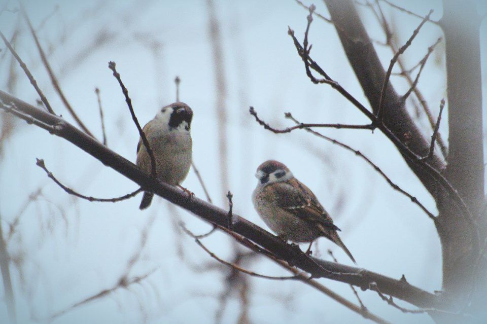 Доброе утро! Прогноз погоды на 21 декабря