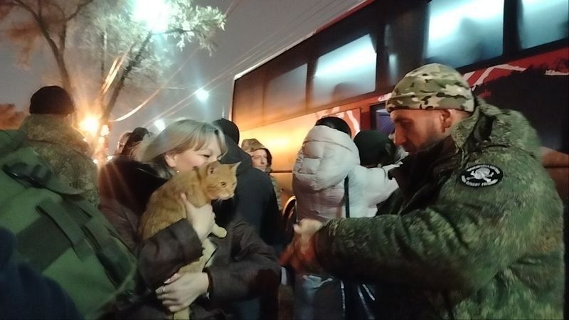 Вернувшиеся в Оренбуржье казаки-добровольцы привезли с собой котов из зоны СВО