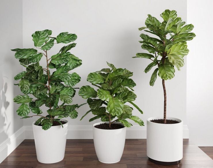 5 зеленых спутников, которые могут подвести вас