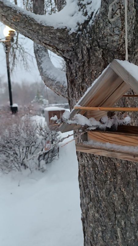 Доброе утро! Прогноз погоды на 24 декабря