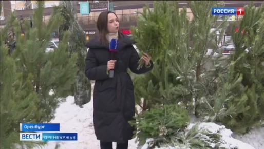 � ��������� ������� � ���� ����: ��� ������ � ������� ����� ������ ������ ����?