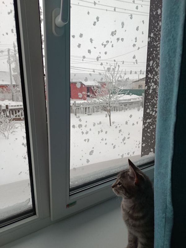 Доброе утро! Прогноз погоды на 28 декабря