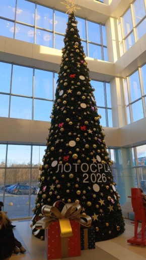 ��� ��� �������� ��������: ���������� ���� � ������ ��� �������