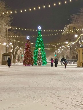 ������� ��������� ������������ ������� �� ��. ������ � ��������� 31 �������