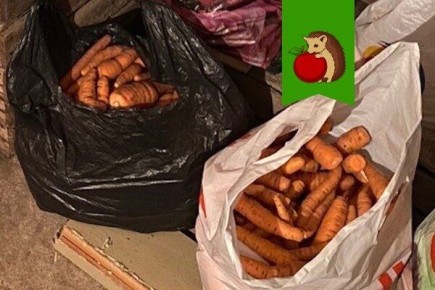 ������� �������� �������: ��� ������������� ������� � ��������� ������