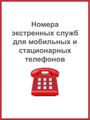 На новогодних праздниках телефоны экстренных служб - ваш главный помощник в критических случаях
