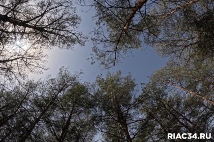 ������������� ������� ��������� � ���������� �������� �� ������ � ������� �����������