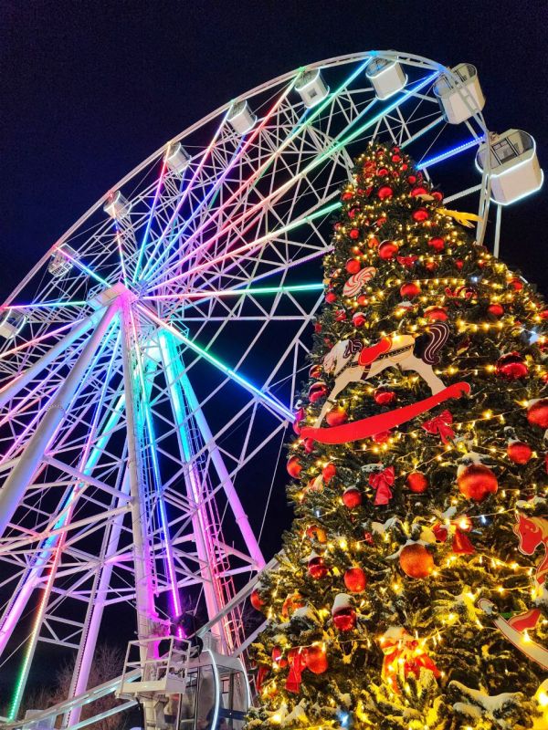 Первый день Нового года! Спокойной ночи!!!