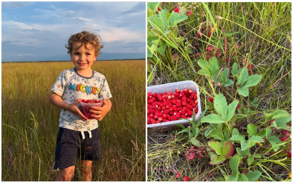 Аляска: Жизнь на краю света с уникальными преимуществами