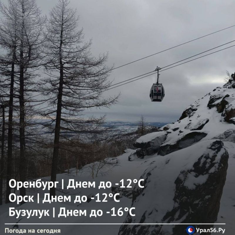 ������ ����