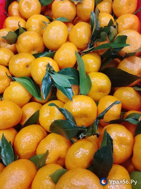 Шел второй день нового года