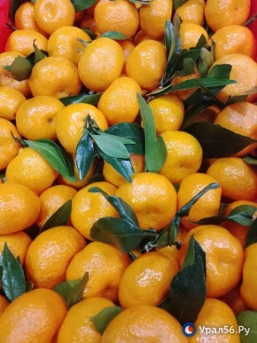 ��� ������ ���� ������ ����