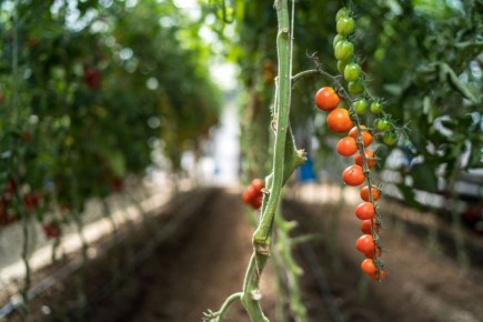 ������ ����� ������ ���������� ������ ���������� � ������