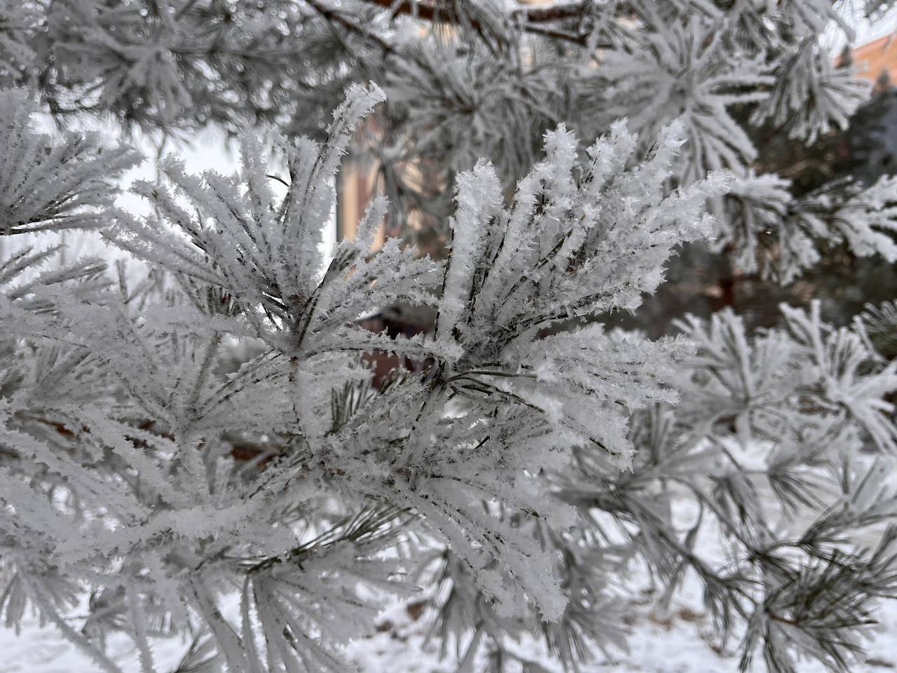 ГУ МЧС России по Оренбургской области предупредило о непогоде в ночь на 4 января