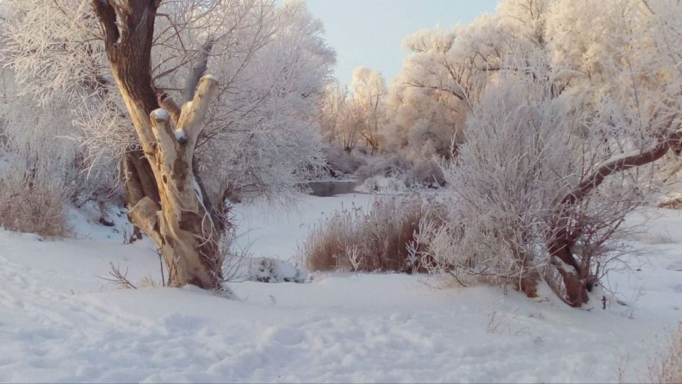 Доброе утро! Прогноз погоды на 3 января