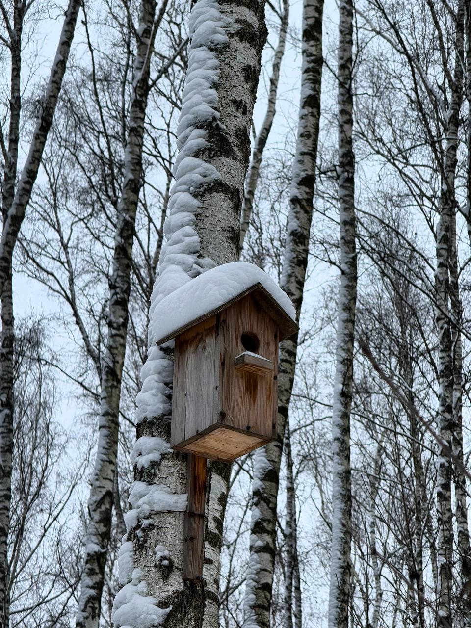 Доброе утро, Оренбуржье! Прогноз погоды на 4 января