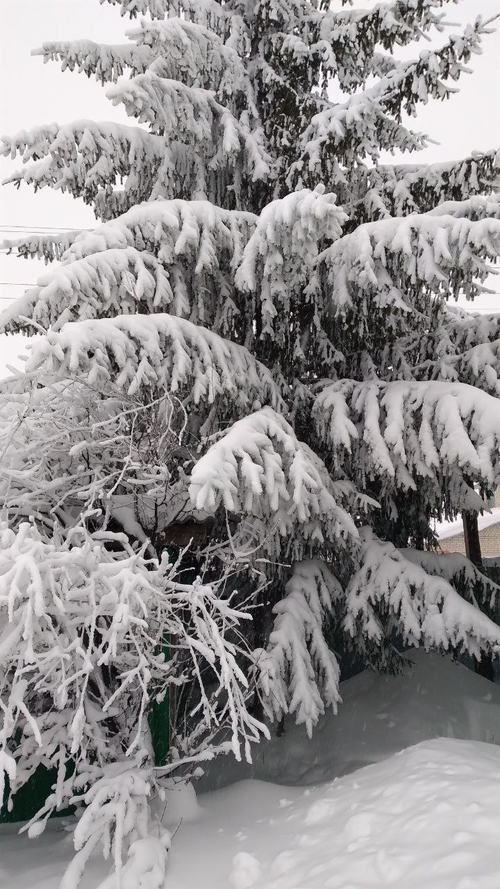 Доброе утро! Прогноз погоды на 4 января