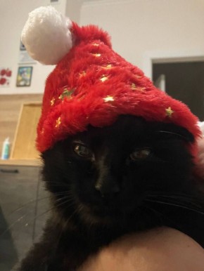 4 января неофициально считается Днём вечно недовольных людей