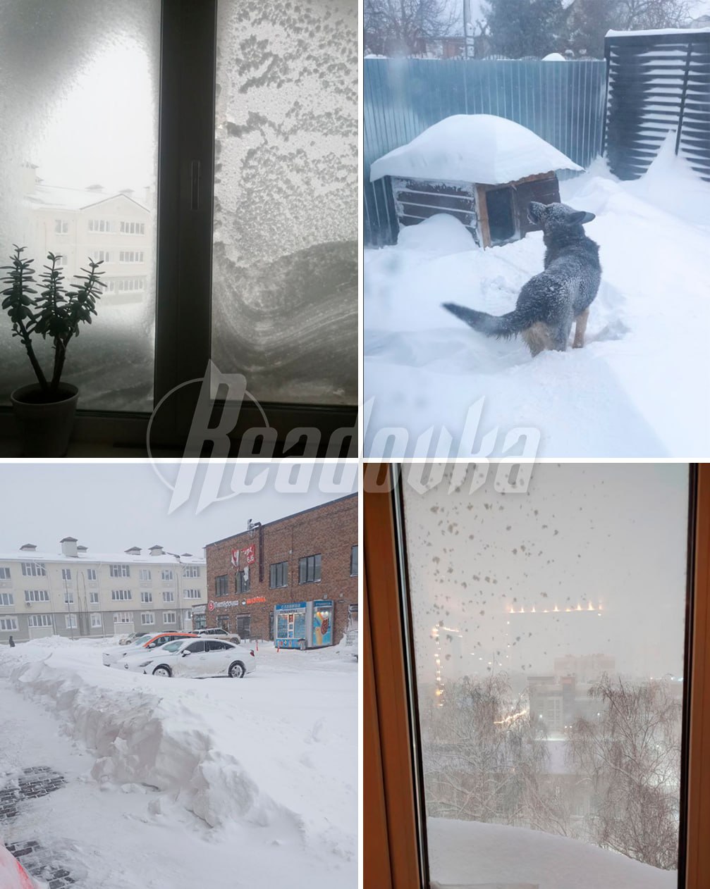 Казань завалило снегом — часть жителей не может выйти из дома, а из-за плохой видимости власти перекрыли две трассы Казань завалило снегом — часть жителей не может выйти из дома, а из-за плохой видимости власти перекрыли две трассы