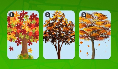 Тест на уровень тревожности: узнайте, как вы реагируете на стресс