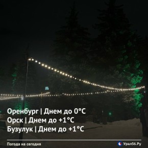 Доброе утро