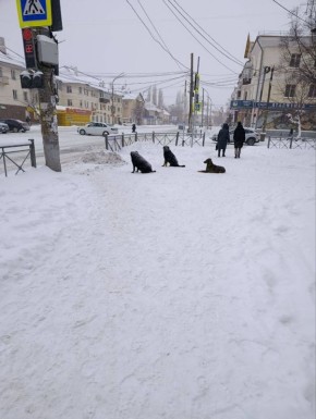 ������� ��������� ������� :)