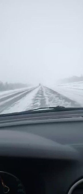 ������ �������� - ������ � ������������ ������ ����� ������