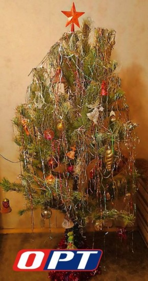 Советы специалистов: когда можно убирать лку?