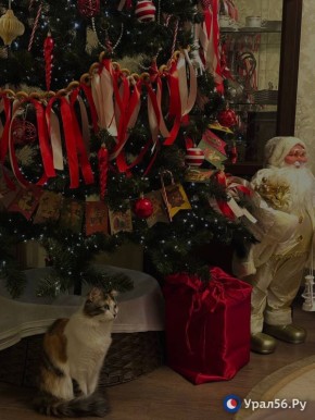 �� ��� ������ ���� ��� ��� �����?