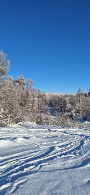 ������ ����! ������� ������ �� 8 ������