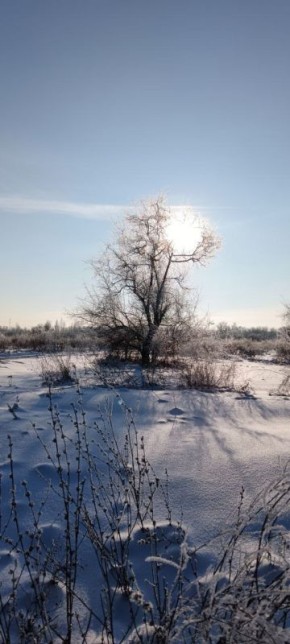 ������ ����!� ������� ������ �� 9 ������