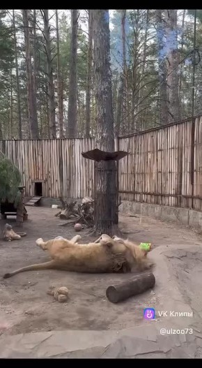 � ��� �� ��������� ��������� �������� ?