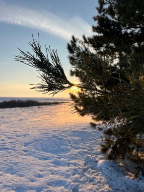 ������ ����!� ������� ������ �� 10 ������