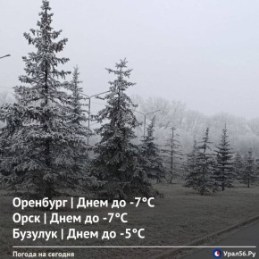 Доброе утро