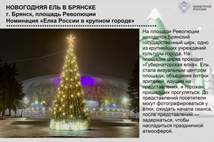 Приглашаем оренбуржцев принять участие в голосовании за лучшую елку России