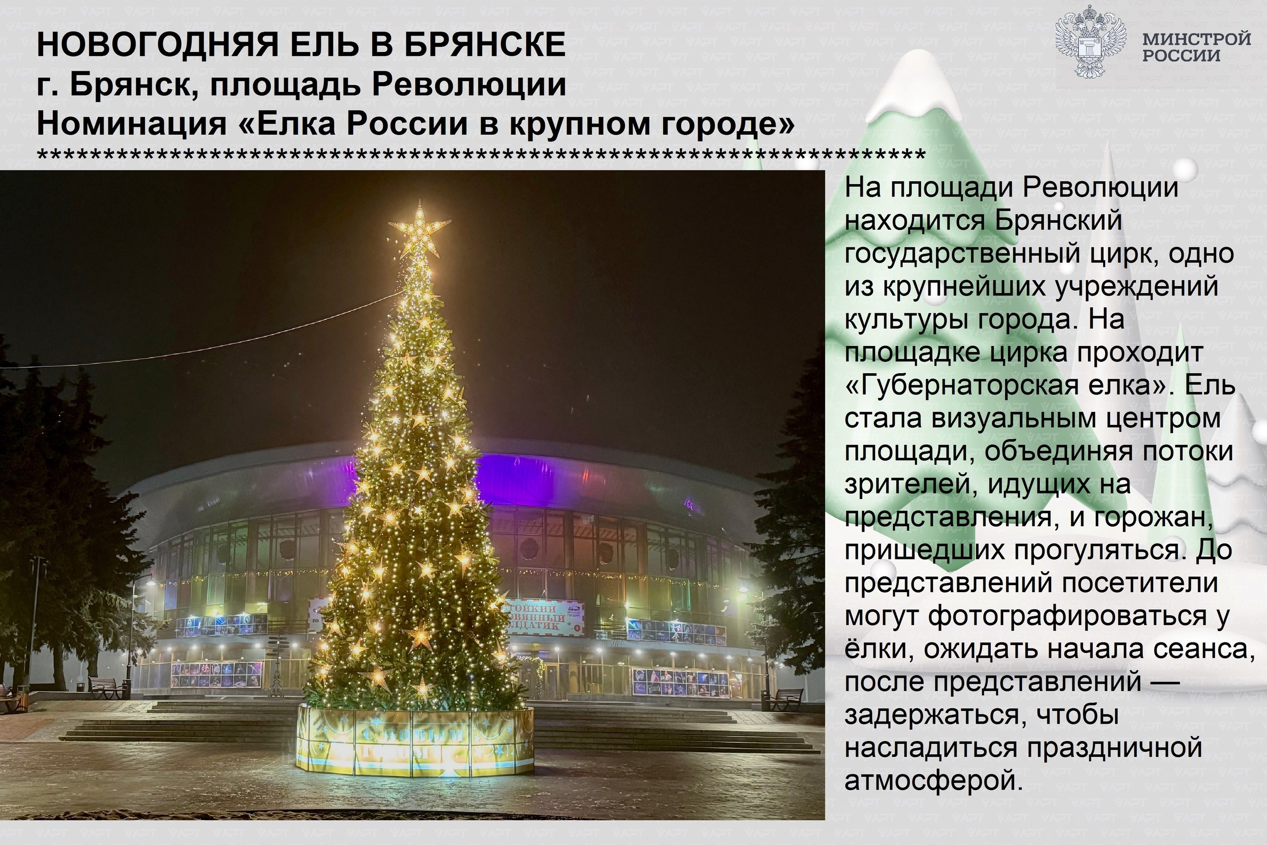 Приглашаем оренбуржцев принять участие в голосовании за лучшую елку России