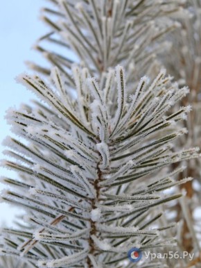 ����� � ��������. ��������, 12 ������