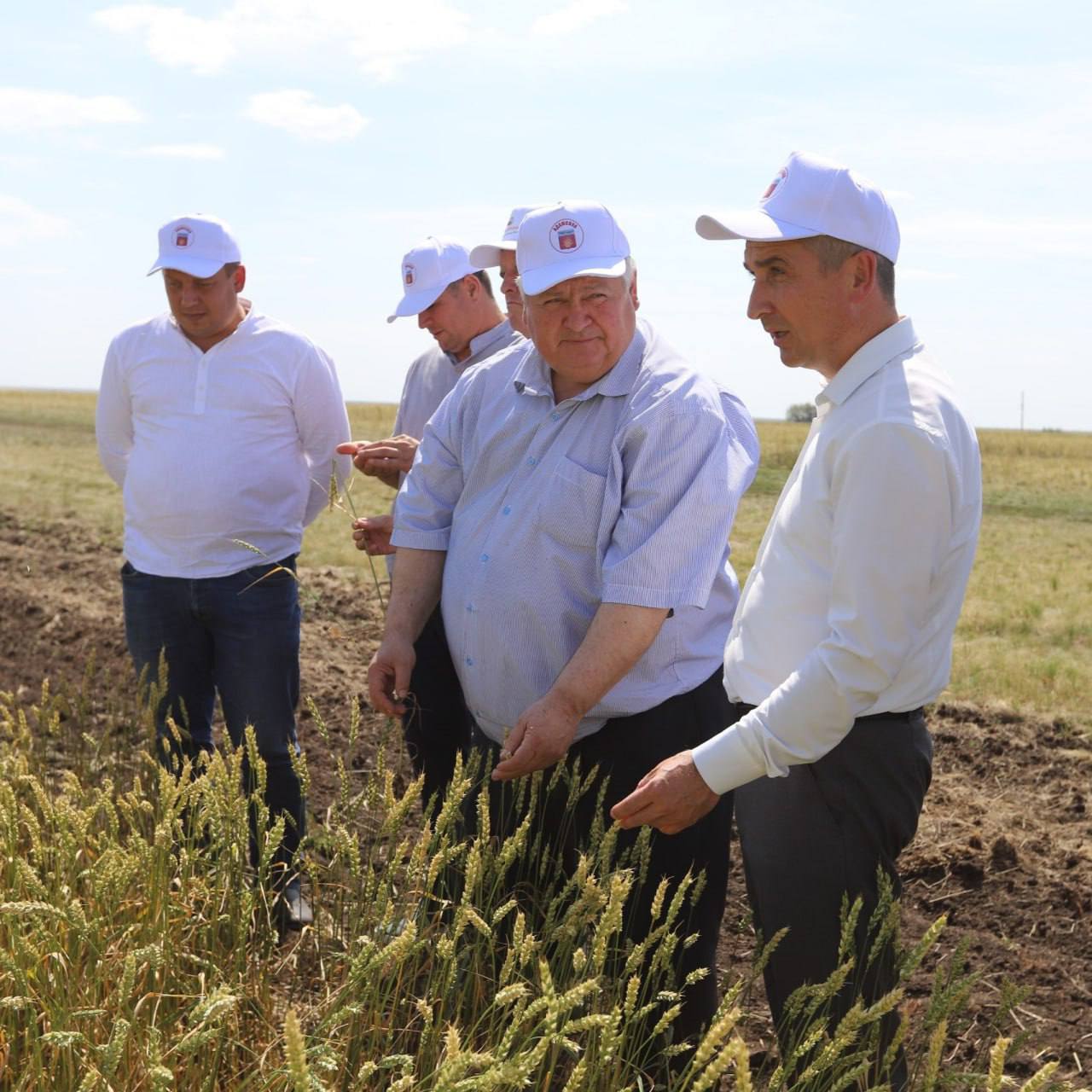 Более 2,7 млрд рублей получил аграрный сектор Оренбуржья в 2025 году