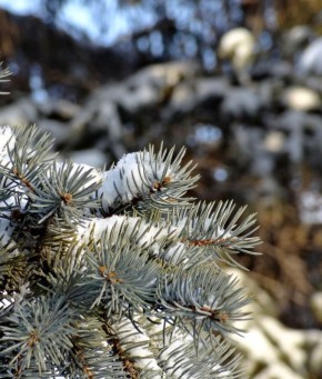 ������ ����!� ������� ������ �� 13 ������