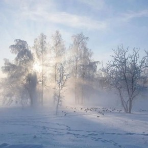 ������ ����!� ������� ������ �� 14 ������