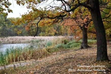 ������ �� ������������ ������� �������� ������� ����������� ��� ��� ������������ ���������� �������� ����� � ����� ����� ������� ���������� ����