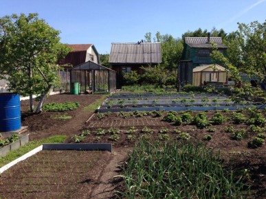 ����� ������� ��� ���������� �����: ��� �������� ������� � ��������� �������