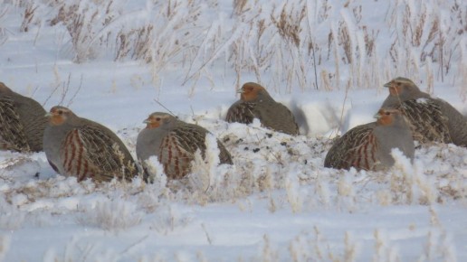 ����� ����� ������ � ������������ ������� � ��� �� ����� �������������?