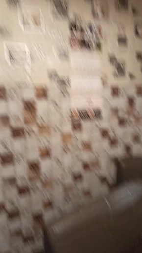 ���� � �������, ����� � �������� � 4 ����: � ����� �������� ������� ���������������� ����