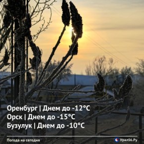 ������ ����