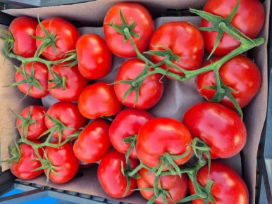 � ���������� ���������� ���� 18 ���� ��������� �������